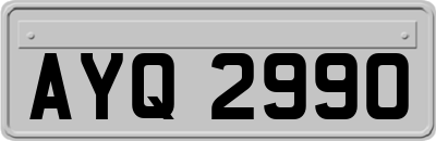 AYQ2990