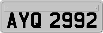 AYQ2992