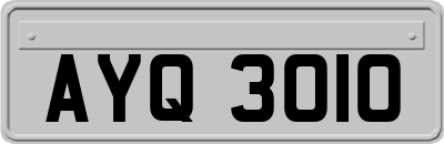 AYQ3010