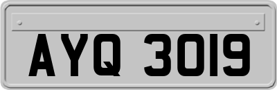 AYQ3019