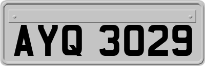 AYQ3029