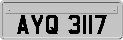 AYQ3117