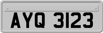 AYQ3123