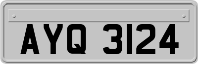 AYQ3124