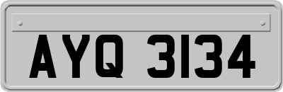 AYQ3134