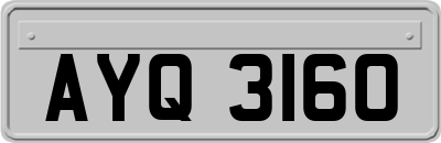 AYQ3160