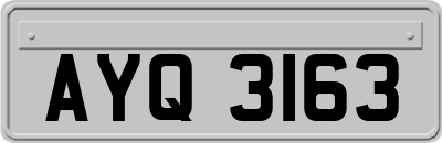 AYQ3163