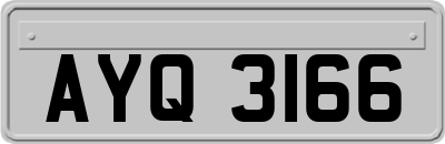 AYQ3166