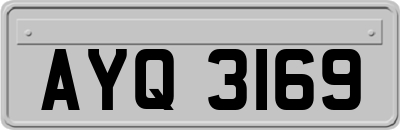 AYQ3169