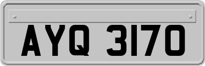 AYQ3170
