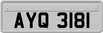 AYQ3181