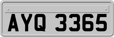 AYQ3365