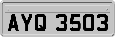 AYQ3503
