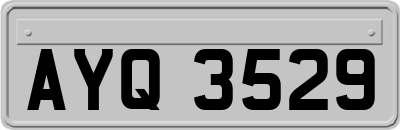 AYQ3529