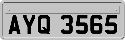 AYQ3565