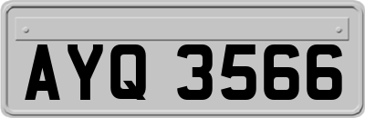 AYQ3566