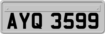AYQ3599
