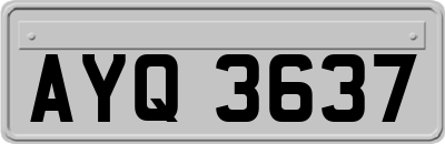 AYQ3637