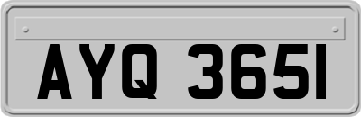 AYQ3651