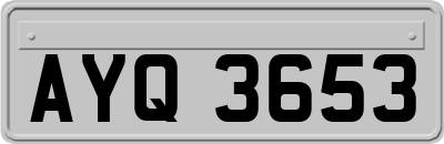AYQ3653