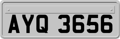 AYQ3656