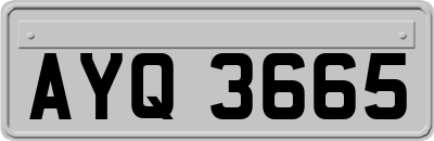 AYQ3665