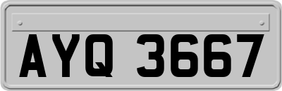AYQ3667