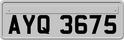 AYQ3675