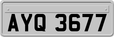 AYQ3677