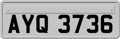 AYQ3736