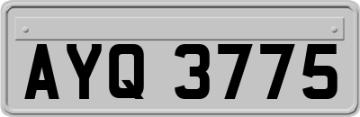AYQ3775