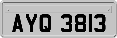 AYQ3813