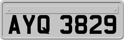 AYQ3829