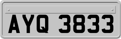 AYQ3833