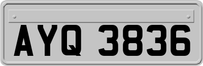 AYQ3836