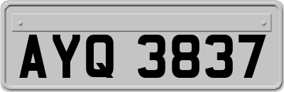 AYQ3837