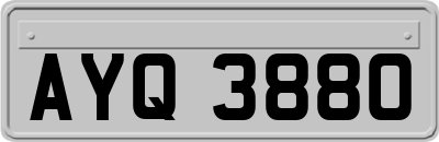 AYQ3880