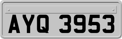 AYQ3953