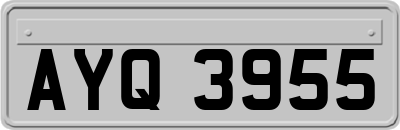 AYQ3955