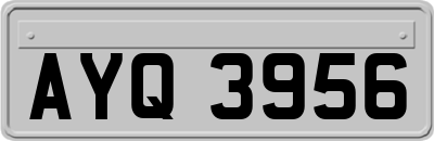 AYQ3956