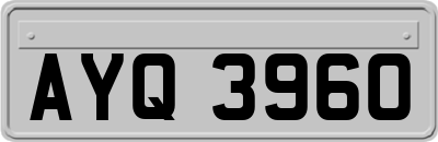 AYQ3960