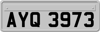 AYQ3973