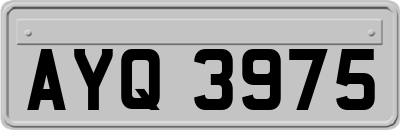 AYQ3975