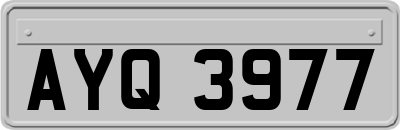 AYQ3977
