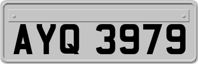 AYQ3979