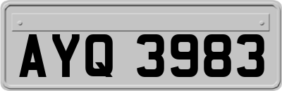 AYQ3983