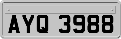 AYQ3988