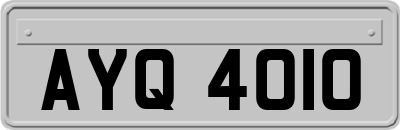 AYQ4010