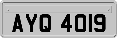 AYQ4019
