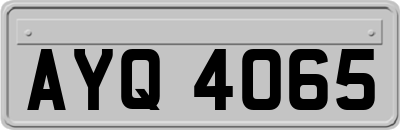 AYQ4065
